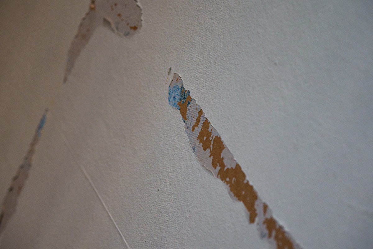 Mold Remediation service in Antelope, CA